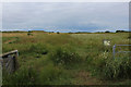 SD3216 : Sand Dunes behind Birkdale Sands by Chris Heaton