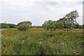 SN6862 : Cors Caron north of Tregaron in Ceredigion by Roger  D Kidd