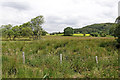 SN6862 : Cors Caron north of Tregaron in Ceredigion by Roger  D Kidd