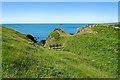 SH3092 : View towards West Mouse from the Anglesey Coastal Path by Jeff Buck