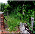 SO1009 : Grassy public footpath in Llechryd by Jaggery