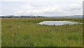 SN6863 : Pool on Cors Caron south of Swyddffynnon in Ceredigion by Roger  D Kidd