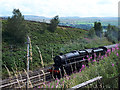 NY6006 : A glimpse of steam at Scotchman's Bridge by Stephen Craven