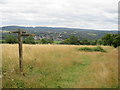 TQ1450 : Paths on the North Downs, overlooking Dorking by Malc McDonald