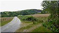 SN8754 : Farm road north-east of Abergwesyn in Powys by Roger  D Kidd