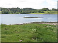 NM9634 : Small reef in Loch Etive by M J Richardson