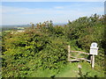 TQ3213 : Footpath and Stile on Ditchling Down, near Brighton by Malc McDonald