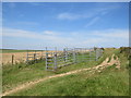 TQ3212 : Animal pen, near Ditchling Beacon by Malc McDonald