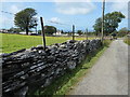 SH5055 : Slate drystone wall, west of Glandwr by Christine Johnstone