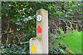 NT4429 : Waymarks near Corby Linn by Jim Barton