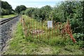 SH5059 : Controlling Japanese knotweed at Tryfan Junction by Christine Johnstone