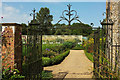 ST3505 : Kitchen garden, Forde Abbey by Derek Harper