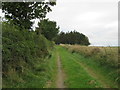 NT8364 : Approaching Greenwood in the Scottish Borders by ian shiell