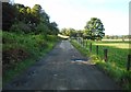 NS5083 : Road to Carston by Richard Sutcliffe