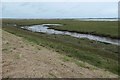 SH4459 : Tidal creek, Y Foryd by Christine Johnstone