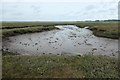 SH4459 : Y Foryd, from the western shore by Christine Johnstone