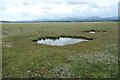 SH4459 : Pools in the salt marsh, Y Foryd by Christine Johnstone