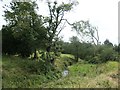 SH8830 : Issue-fed stream near Tyddyn Goronwy by Christine Johnstone