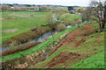 SY9287 : River Piddle at Wareham by Derek Harper