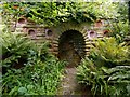 SK5453 : Newstead Abbey Gardens  the Fernery wall by Alan Murray-Rust