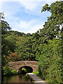 SJ9652 : Springs Bridge north of Cheddleton in Staffordshire by Roger  D Kidd