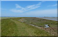  : Salt marsh along the River Ore by Mat Fascione