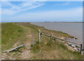  : Suffolk Coast Path along the River Ore by Mat Fascione