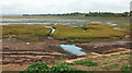 SX9981 : Saltmarsh and estuary, Exmouth by Derek Harper