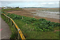 SX9981 : Estuary edge, Exmouth by Derek Harper