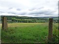 SJ9995 : Fields at Mottram-in-Longdendale by Gerald England