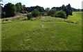 NS7893 : King's Park: remains of the race track by Lairich Rig