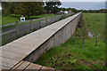 SX9389 : Flood Defence Wall in the Exe Valley, Devon by Andrew Tryon