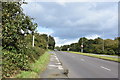 SP1499 : Way to Tamworth - Canwell, Staffordshire by Martin Richard Phelan