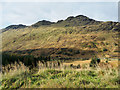 NN2309 : Lower slopes of Binnein an Fhìdhleir / Stob Coire Creagach by Trevor Littlewood