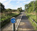 SO5058 : Combined footpath and cycleway on the west side of the A49 Leominster Bypass by Jaggery