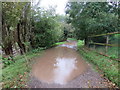 TQ3352 : Puddles on a track, near Godstone by Malc McDonald