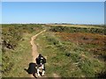 SW6243 : Heathland on the downs by Jonathan Wilkins