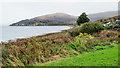 NN0700 : Shore of Loch Fyne near to Creag nam Faoileann by Trevor Littlewood