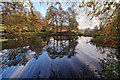 SK3160 : Mill Pond in Lumsdale by Andy Stephenson