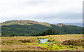 NS0897 : Bog above trees of Gleann Dubh by Trevor Littlewood