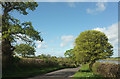 ST5409 : Road past Bingham Bower Farm by Derek Harper