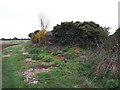 SU4298 : WW2 Pillbox near Fyfield by Vieve Forward