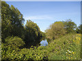 SE3231 : River Aire downstream of Knowsthorpe by Stephen Craven