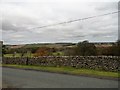 NZ0449 : View north from the roadside by Robert Graham