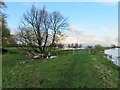 TL3974 : Gate on the river bank - The Ouse Washes by Richard Humphrey