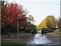 TQ3377 : Autumn colour in Burgess Park, near Camberwell by Malc McDonald