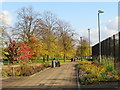 TQ3277 : Autumn in Burgess Park by Malc McDonald