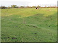 TL3974 : The Bulwark - The Ouse Washes by Richard Humphrey