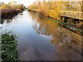 TL4279 : Flooded road at Sutton Gault - The Ouse Washes by Richard Humphrey