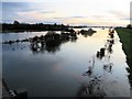 TL4381 : A view from Mepal viaduct - The Ouse washes by Richard Humphrey